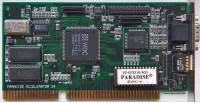 Sprint Paradise Accelerator 24